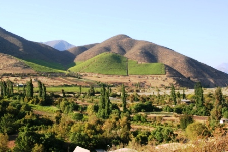 Wo bewssert wird, da grnt der Wein